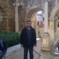 Lion profil